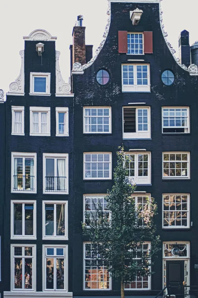 Calle principal del centro en el centro de Ámsterdam en los Países Bajos — Foto de Stock