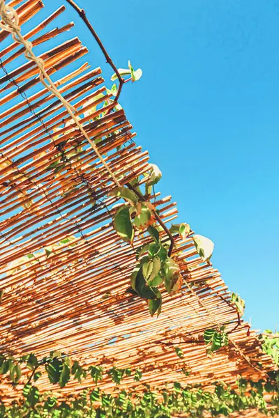 Дерев'яний дах на пляжі — стокове фото