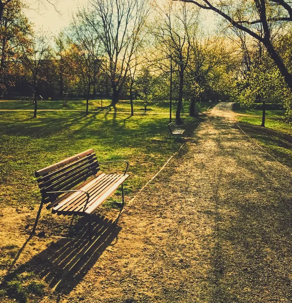 Banc vide dans le parc pendant un confinement en ville en cas de pandémie de coronavirus — Photo