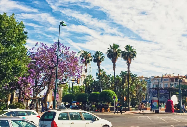 Parques públicos y calles de Málaga, la capital de la región de Andalucía en España, destino del sur de Europa —  Fotos de Stock