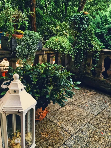 豪華な裏庭に花と美しい緑の庭 — ストック写真