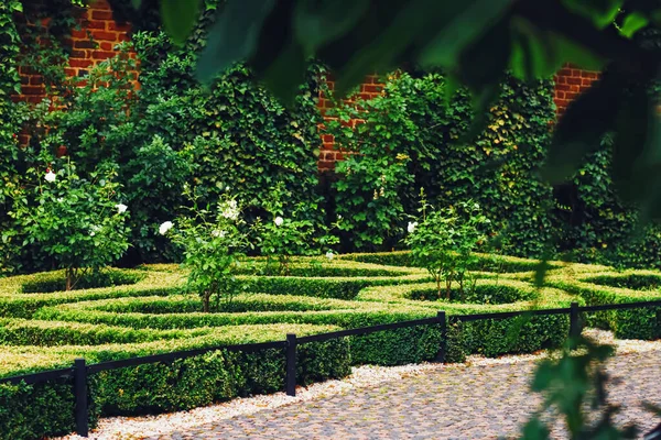 Zelená zahrada a krajinný design v městském parku — Stock fotografie
