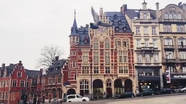 Straten van Brussel, de hoofdstad van België, Europese architectuur en historische gebouwen — Stockvideo