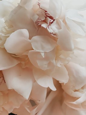 Tatil markaları için soyut çiçek arkaplanı olarak bej şakayık çiçeği