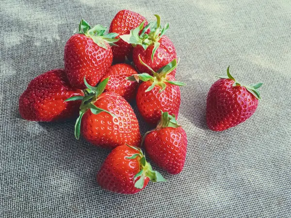 Organic strawberries on rustic linen background — Stock Photo, Image