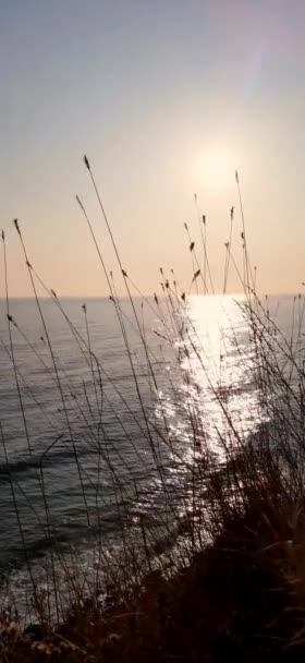 美しい黒海の嵐 美沙子 — ストック動画