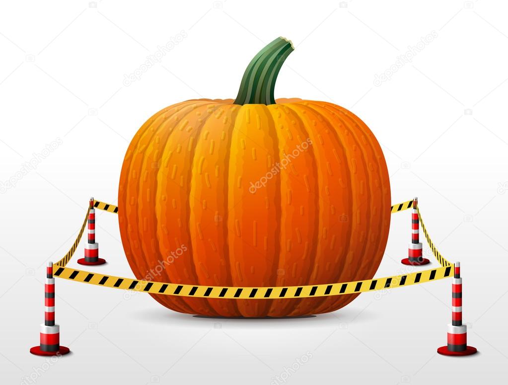 Pumpkin fruit located in restricted area
