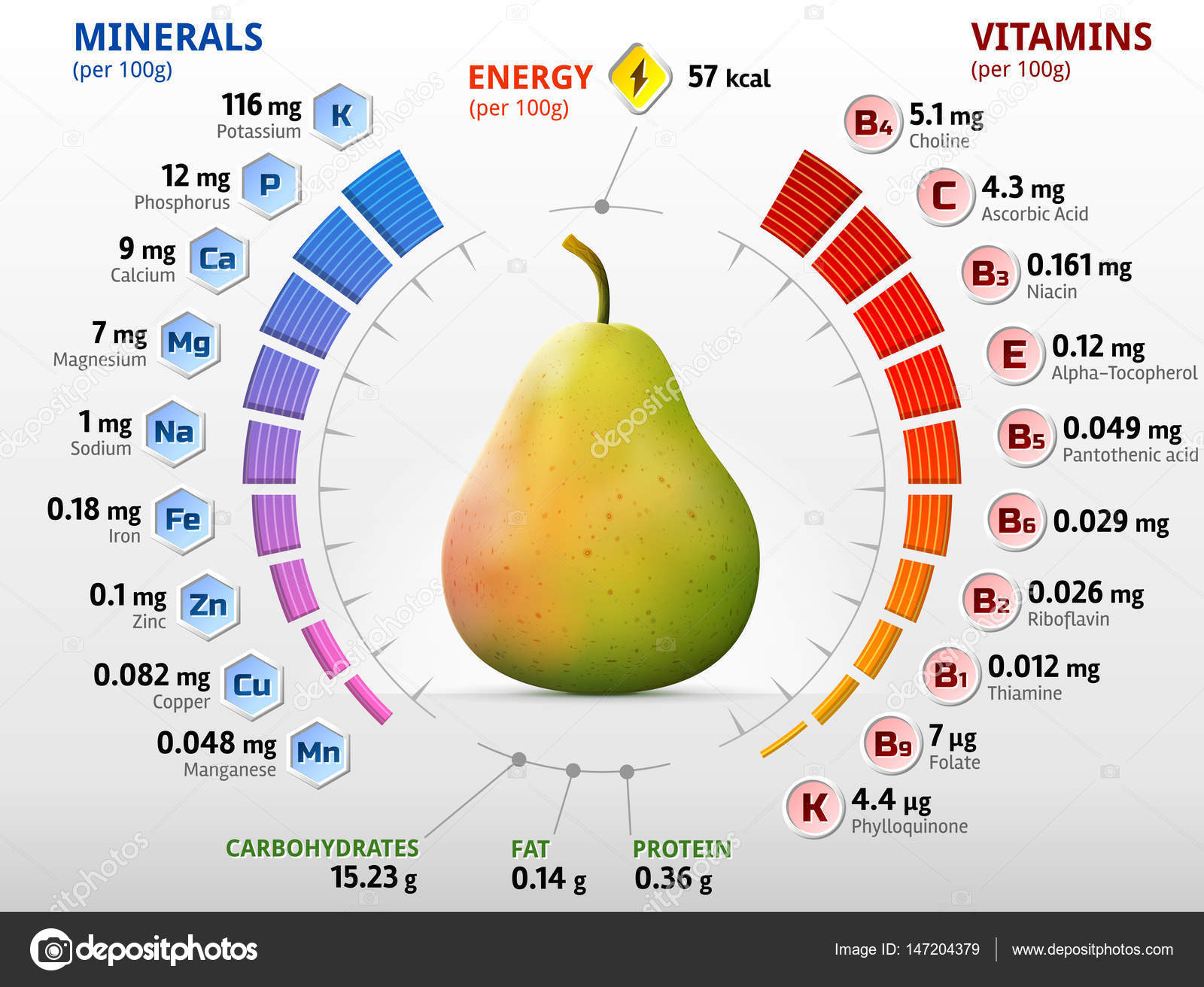 Vitamins and minerals of pear fruit Stock Vector Image by ©kulyk 147204379