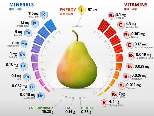 Vitamine und Mineralstoffe der Birnenfrüchte — Stockvektor