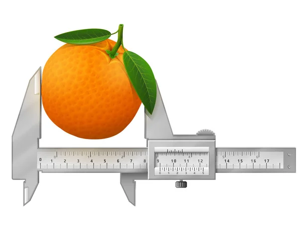 Horizontal caliper measures orange fruit — Stock Vector