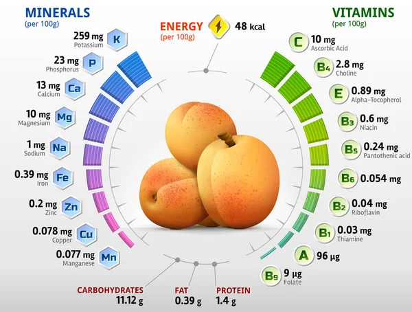 Vitaminen en mineralen van abrikoos fruit — Stockvector