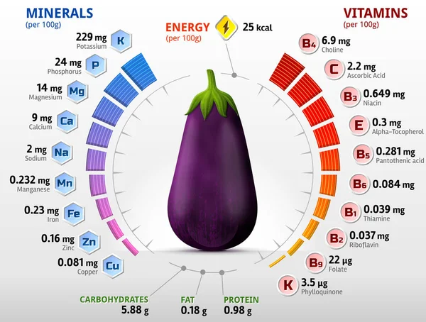 Vitaminas e minerais de frutos de berinjela — Vetor de Stock