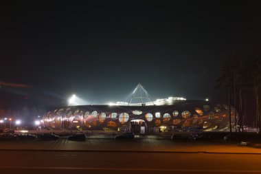 Borisov Stadyumu