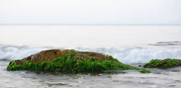 De stenen op het strand onder de binnenkomende golf — Stockfoto