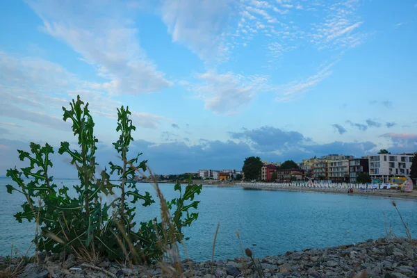 Litoral com vista para a cidade — Fotografia de Stock