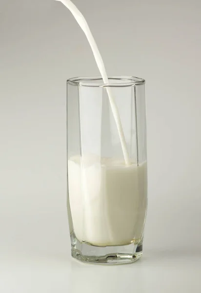 White milk in a glass cup — Stock Photo, Image