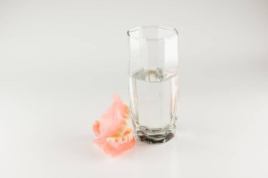 Akrilik çıkarılabilir protez