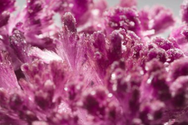 Mor Kristal oluşumları