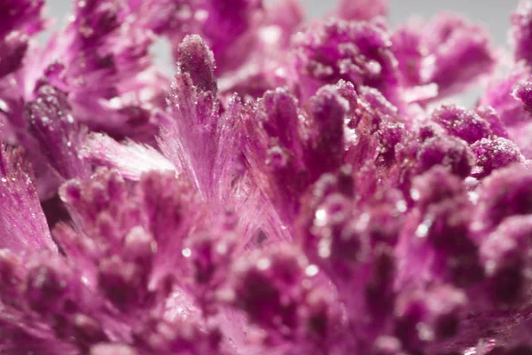 Mor Kristal oluşumları