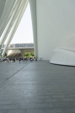 Valencia Ispanya 'nın en büyük ve canlı şehirlerinden biridir