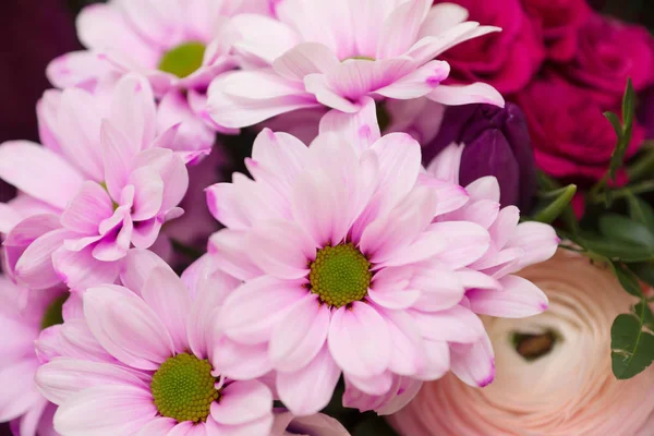 Strauß schöner Gartenblumen — Stockfoto