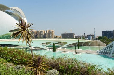 Valencia Ispanya 'nın en büyük ve canlı şehirlerinden biridir