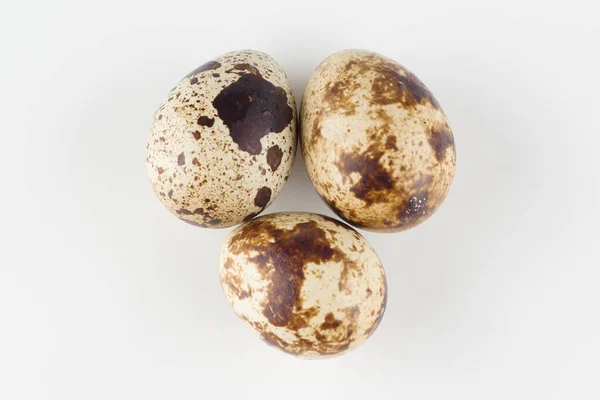 许多鹌鹑蛋在白色背景下被分离出来 — 图库照片
