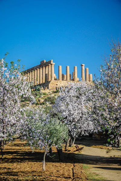 Sicilya, Agrigento yakınlarındaki Tapınaklar Vadisi 'ndeki Konkord Tapınağı — Stok fotoğraf