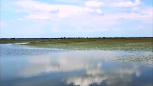 Marshland vid Hortobagyi nationalpark i Ungern — Stockvideo
