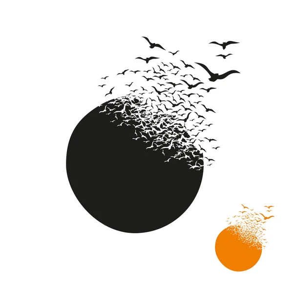 Yıkım etkisi olan gezegen. Dağılım. Kuşlar