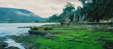 Tessellated Pavement in Pirates Bay. clipart