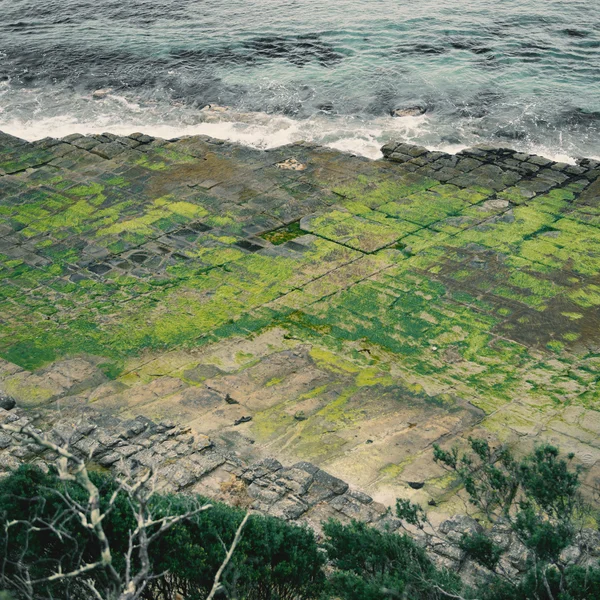 Tessellated Pavement in Pirates Bay.