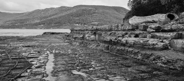 Tessellated Pavement in Pirates Bay.