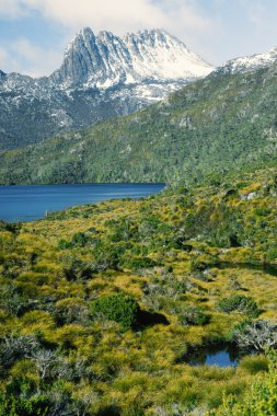 Tasmania'deki / daki Cradle Mountain