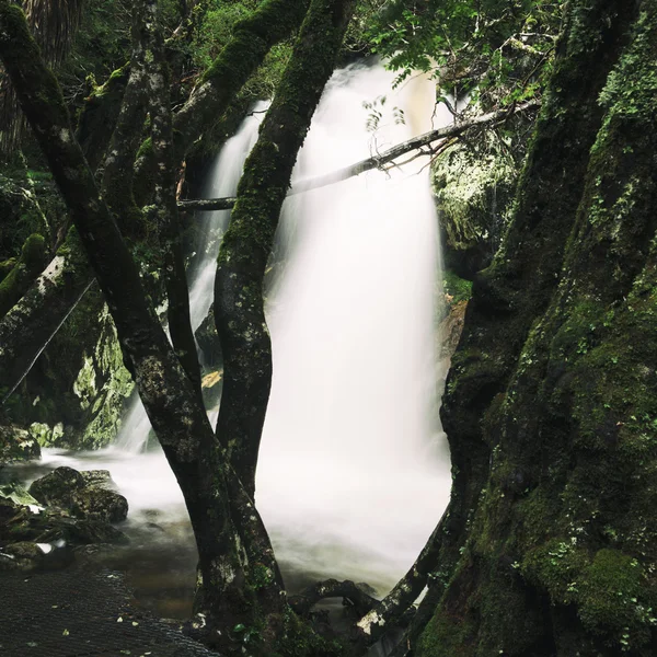 Knyvet водоспад в Колиска-гора — стокове фото