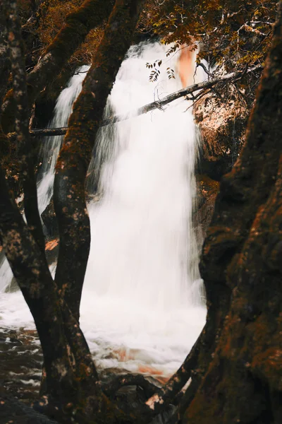 Knyvet Falls: Cradle Mountain — Zdjęcie stockowe