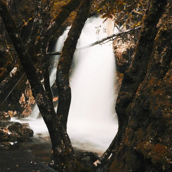 Knyvet Falls: Cradle Mountain — Zdjęcie stockowe