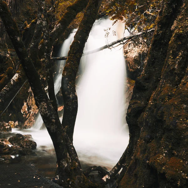 Knyvet Falls em Cradle Mountain — Fotografia de Stock