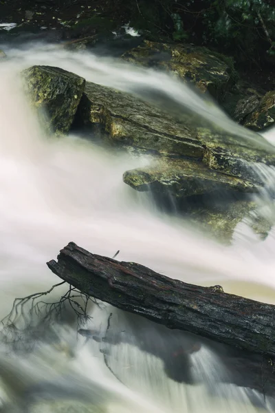 Knyvet Falls em Cradle Mountain — Fotografia de Stock