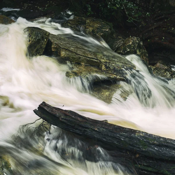 Chutes Knyvet à Cradle Mountain — Photo