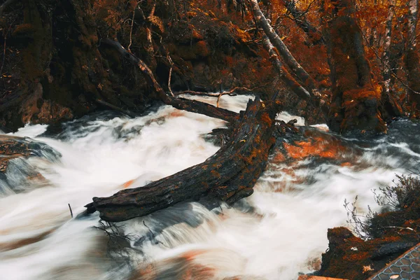 Knyvet Falls em Cradle Mountain — Fotografia de Stock