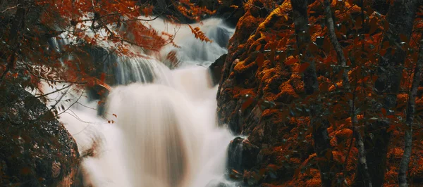 Knyvet Falls em Cradle Mountain — Fotografia de Stock