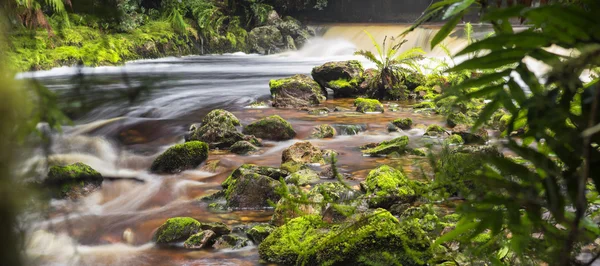 Newell Creek na Tasmânia — Fotografia de Stock