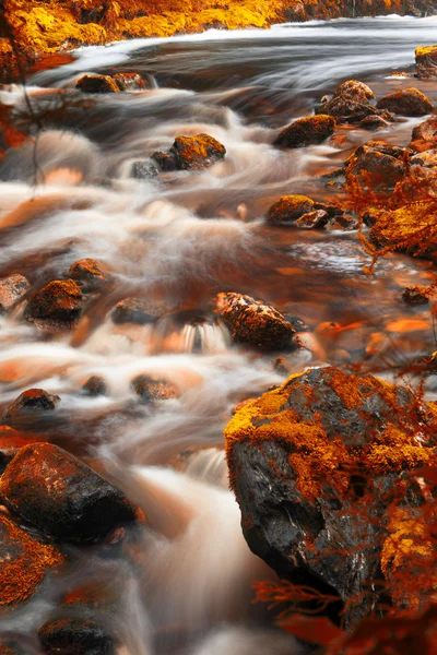 Newell Creek in Tasmania — Stock Photo, Image