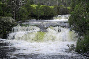 Cradle Mountain şelale