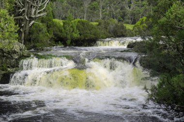 Cradle Mountain şelale