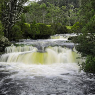 Cradle Mountain şelale