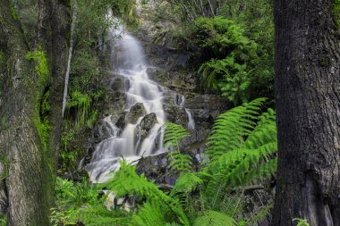 Cradle Mountain şelale