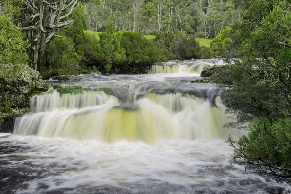 Cradle Mountain şelale