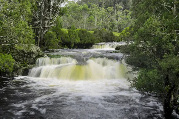 Cradle Mountain şelale